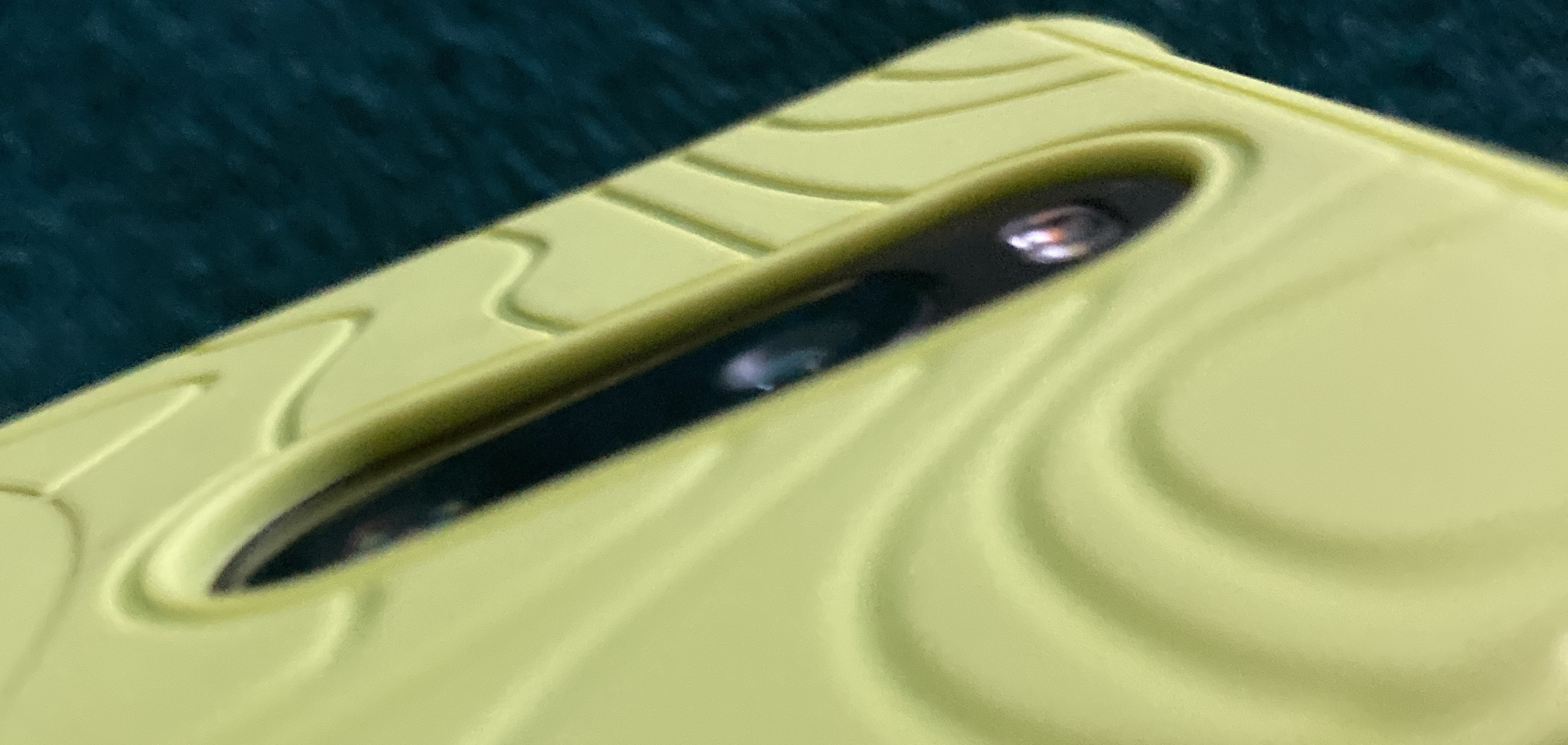 1000051486.jpg