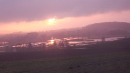 E1EE6B94-1EBA-4C6B-9100-5191B3D25458.jpeg