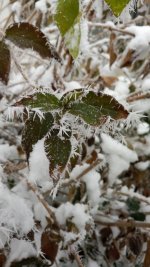 A2C6AF6F-62CC-48DF-B234-9B370D5379C2.jpeg