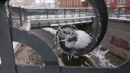 0389A22C-304D-452B-99C3-3CBE3B0320D9.jpeg