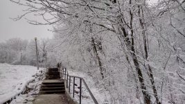 F13A12DE-5FC3-4898-8642-A70A8F9631D6.jpeg