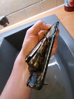 IMG_20200809_224328_5.jpg
