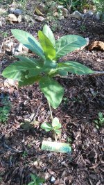 IMG_20190201_092055.jpg