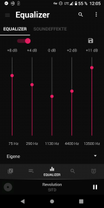 Screenshot_20210129-120507_BlackPlayer_EX.png