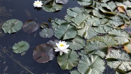IMG_20250815_102428.jpg